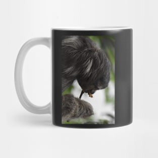 Three-toed  Sloth Mug